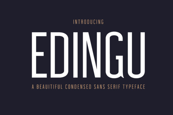 Edingu Family: The Typeface That Clarifies Campaigns