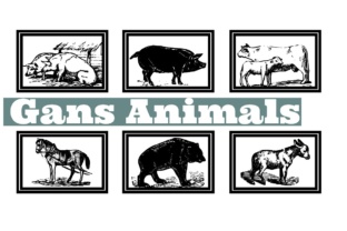 Gans Animals: A Vintage Font for Editorial Charm