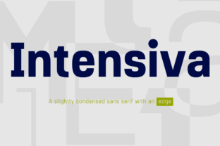 Intensiva Family: A Modern Sans Serif Typeface