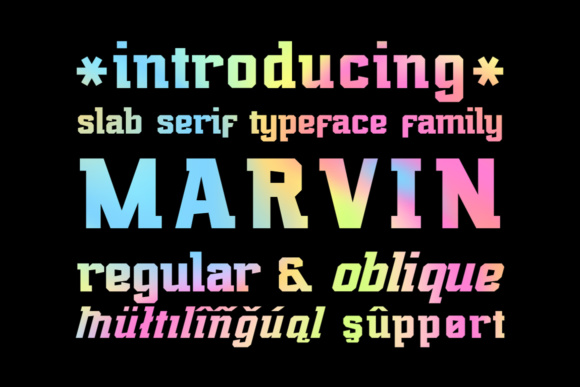 Marvin Regular: A Designer’s Honest Review