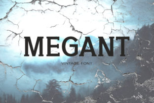 Megant: A Playful Serif Font for Bold Campaigns