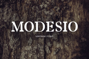 Modesio: A Serif Font for Professional Branding