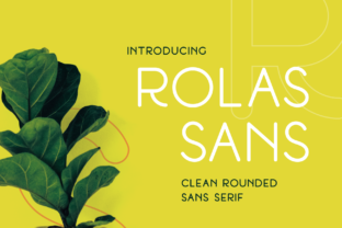 Rolas Sans: A Rounded Typeface for Modern Brands