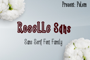 Roselle Sans: A Modern Typeface for Clear Campaigns