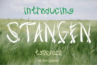 Stangen: A Bold Typeface for Memorable Branding